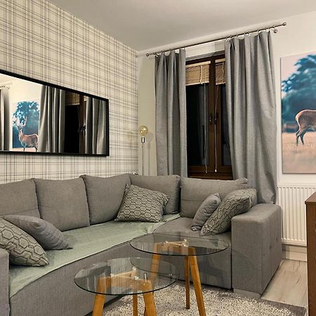 Apartament Dziki Rogacz Шавница Экстерьер фото