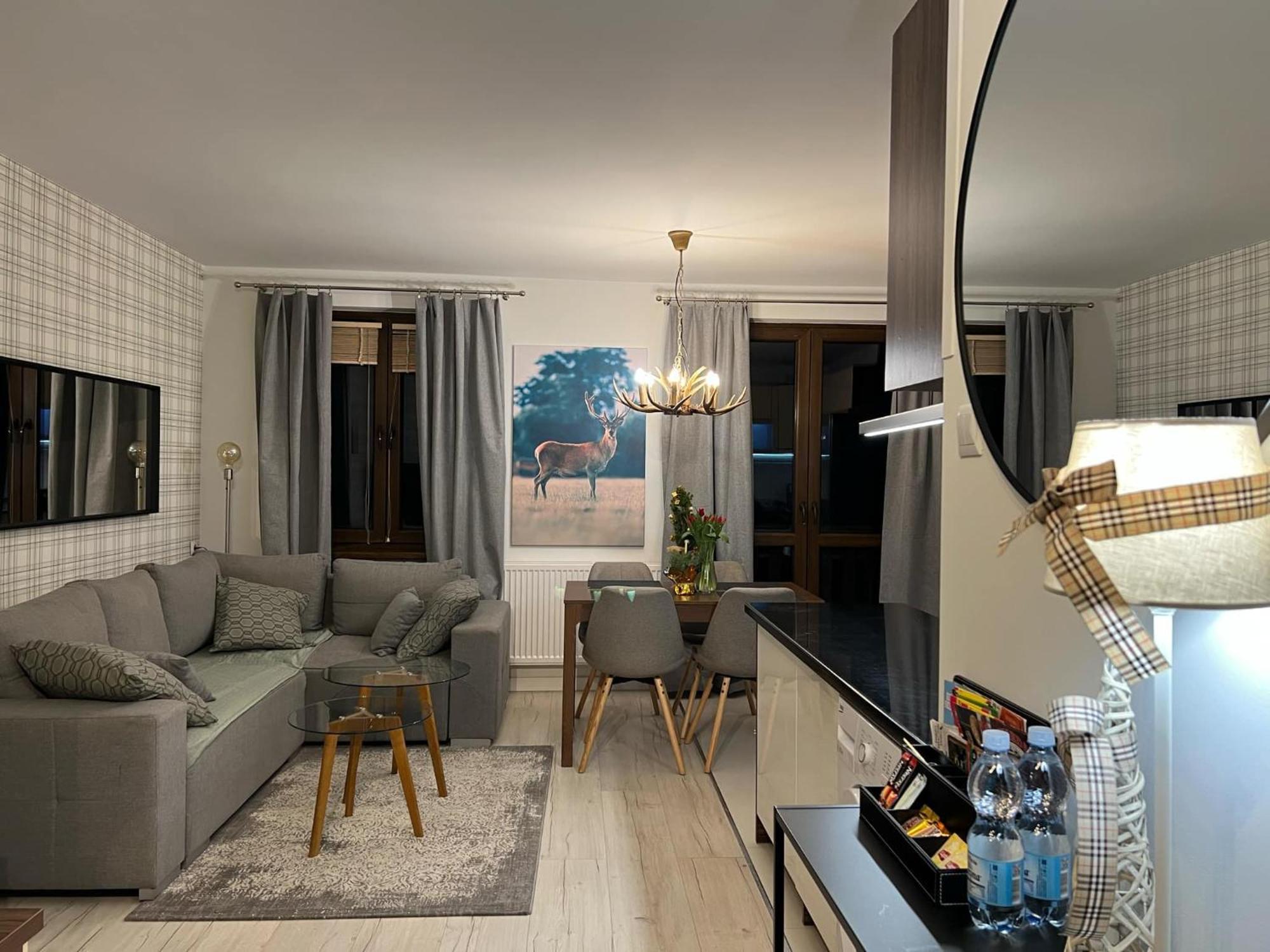 Apartament Dziki Rogacz Шавница Экстерьер фото