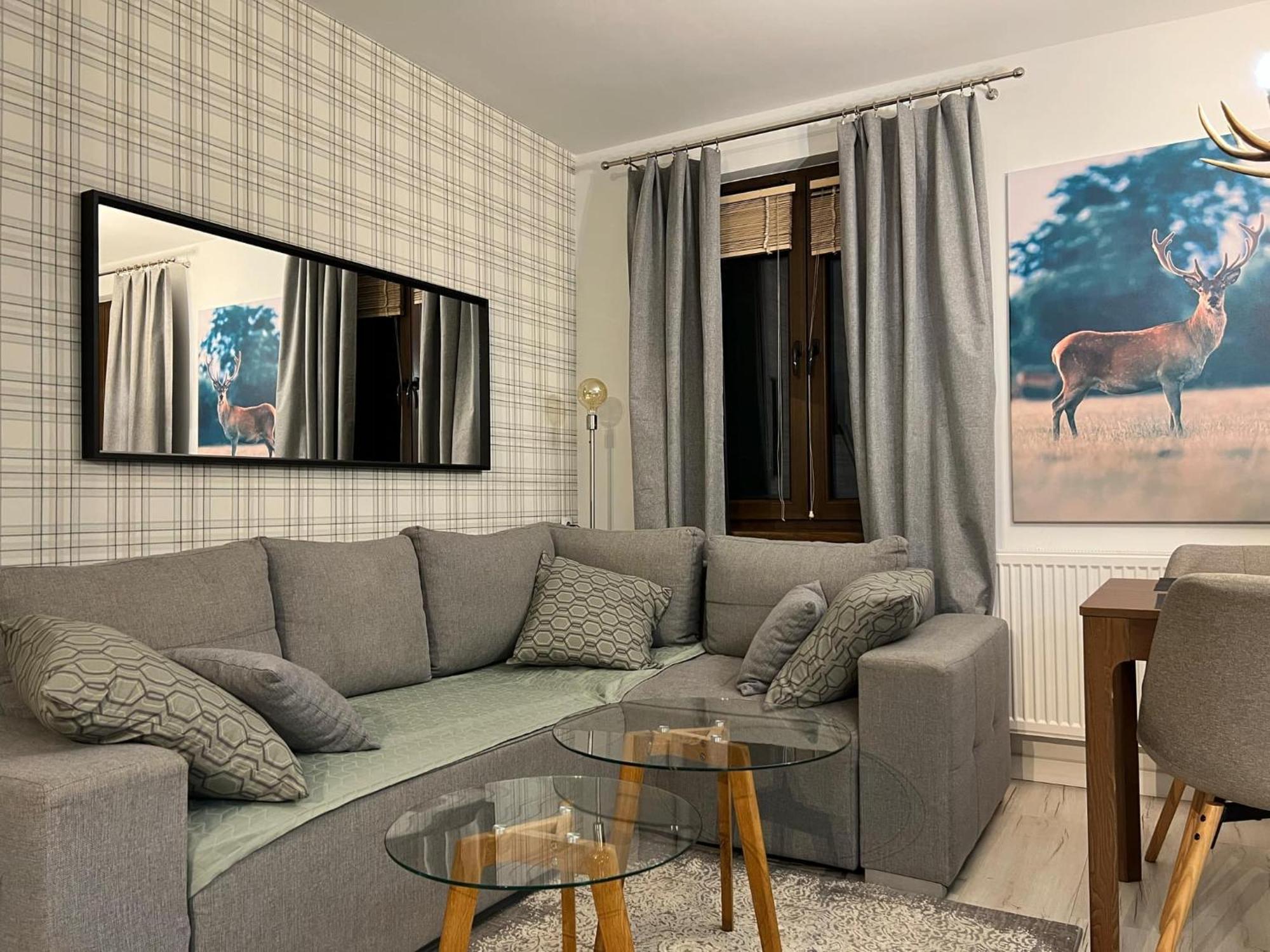 Apartament Dziki Rogacz Шавница Экстерьер фото