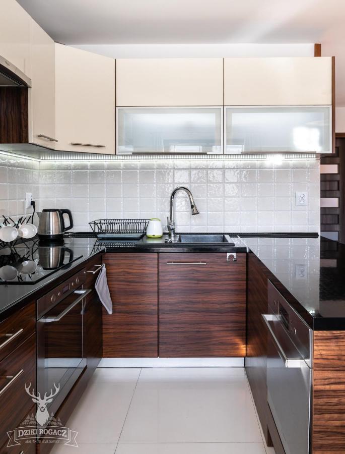 Apartament Dziki Rogacz Шавница Экстерьер фото
